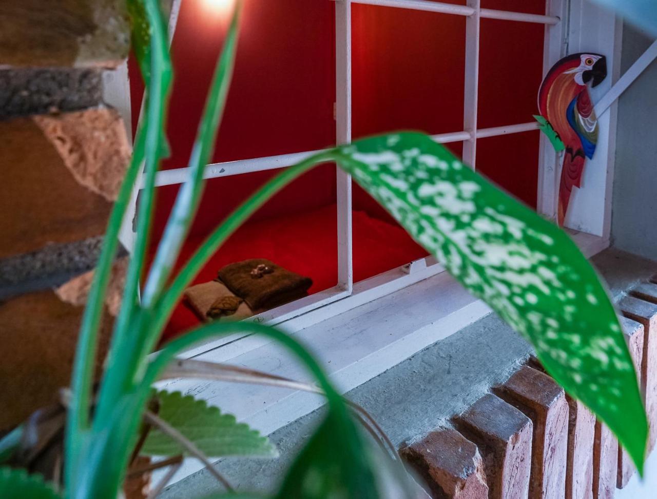 Hostel Tropico De Capricornio - Itagua Ubatuba Εξωτερικό φωτογραφία