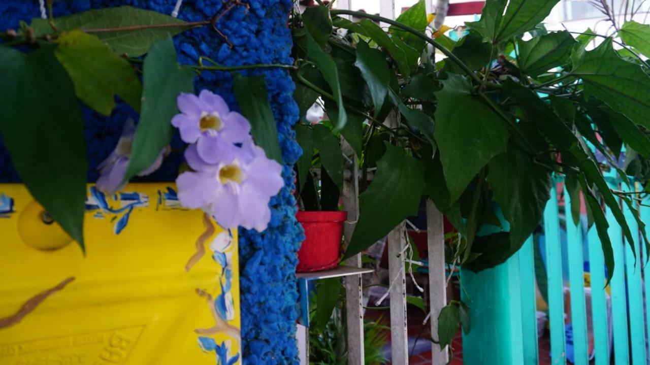Hostel Tropico De Capricornio - Itagua Ubatuba Εξωτερικό φωτογραφία
